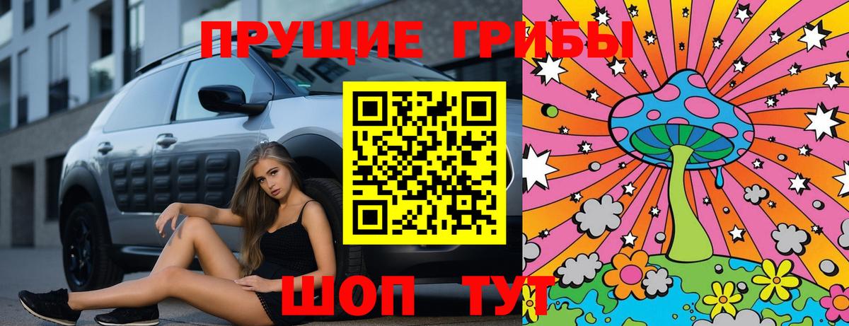 Псилоцибиновые грибы Psilocybe Новокуйбышевск