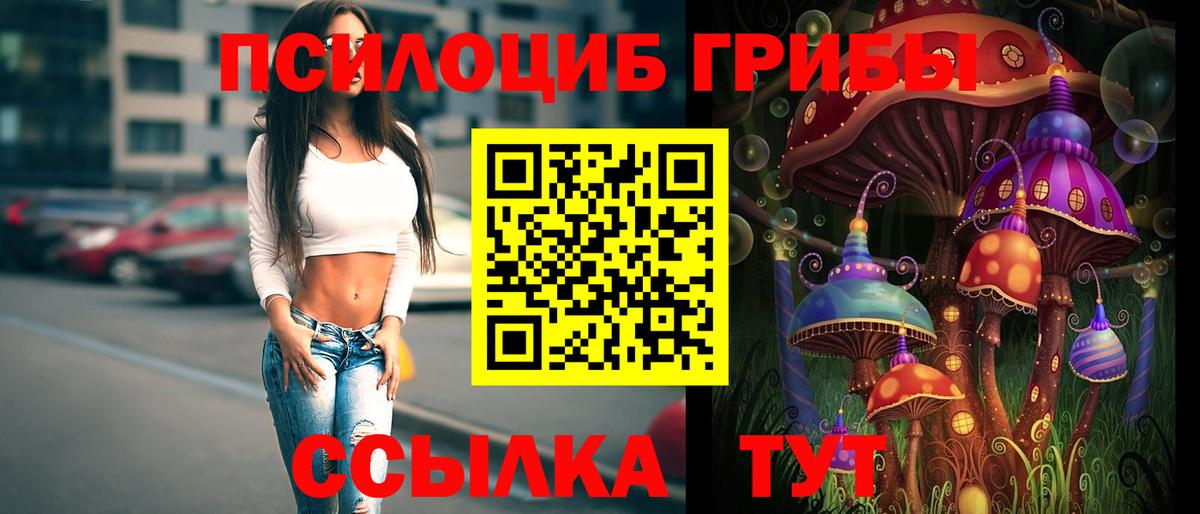 Галлюциногенные грибы Psilocybine cubensis  Псилоцибиновые грибы мицелий  Новокуйбышевск  Вход с VPN 