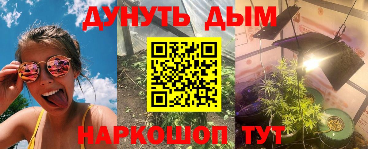 Шишки марихуана SATIVA & INDICA Новокуйбышевск